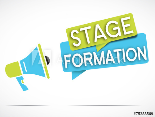 Stage entraîneur Licence D.E.F 2 S2 : Convocation des Candidats  retenus
