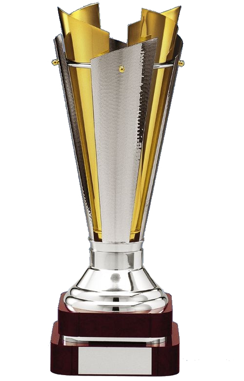 PROGRAMME DES RENCONTRES 1/4 DE FINALE COUPE DE WILAYA