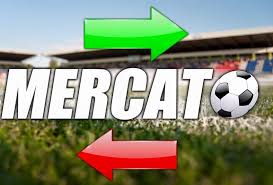 نموذج تسريح لاعب للموسم الرياضي 2026/2025 ‎